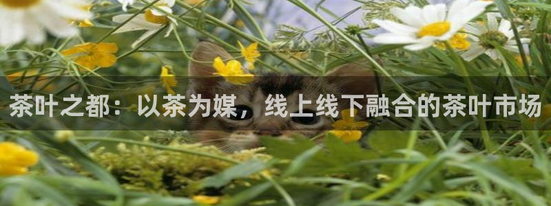 安立信T12测评