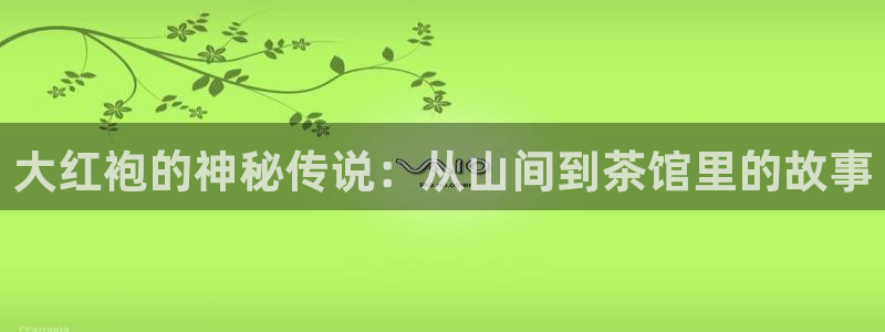 安信12平台的网址