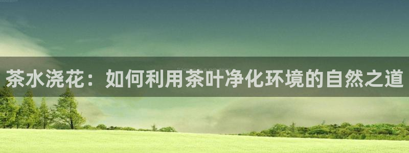 安信可f12