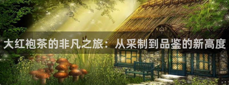 安信12专用挂机