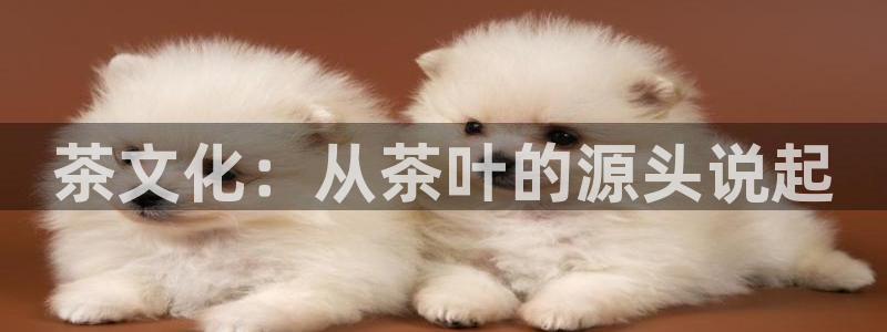 安信12是正轨网站吗