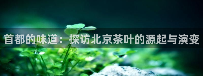 安信12真假
