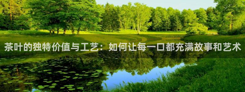安信12赛车