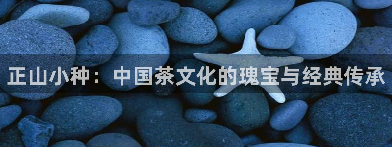 安信12彩票在线网址
