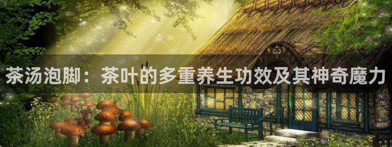 安信12官方下载