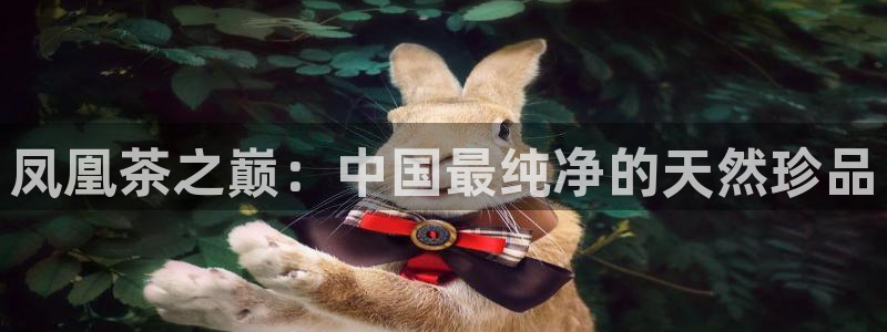 安信12平台介绍