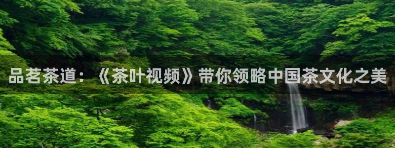 安信4特邀55 12