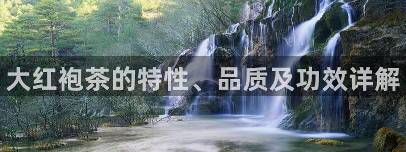 安信证券 12位
