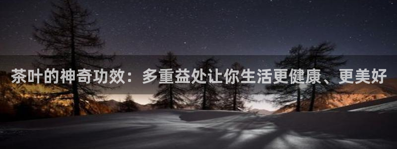 安信12负责人