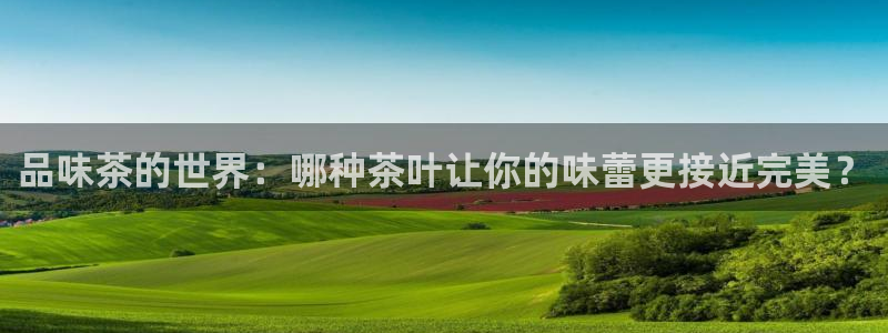 安立信12改装