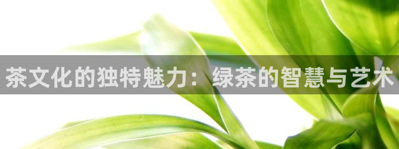 安信12级