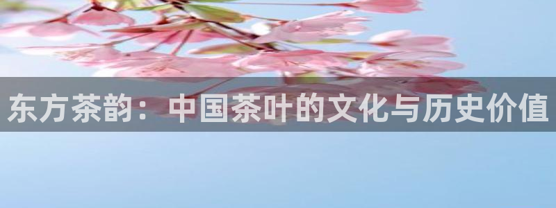 安信安盈12最新消息