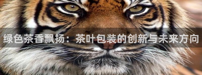 安信12娱乐代理