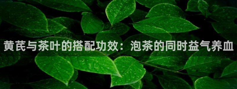 安信12是什么