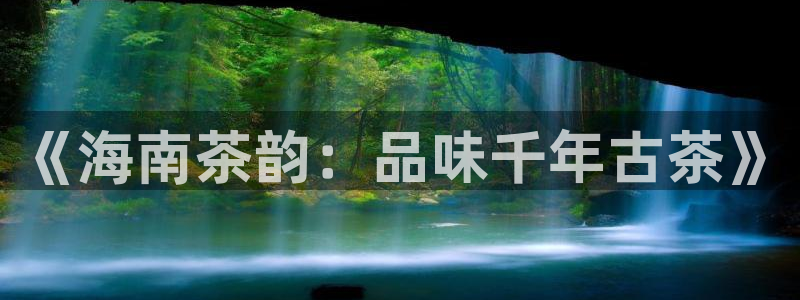 安信12是什么