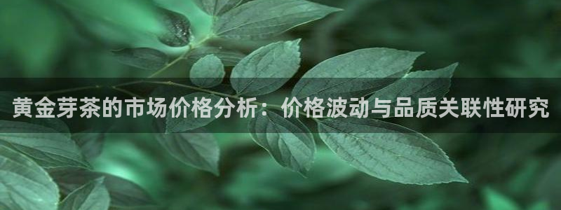 信安12