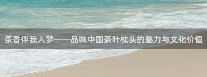 安信12负责人
