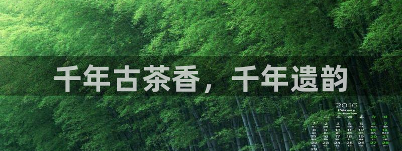 安信12想开户
