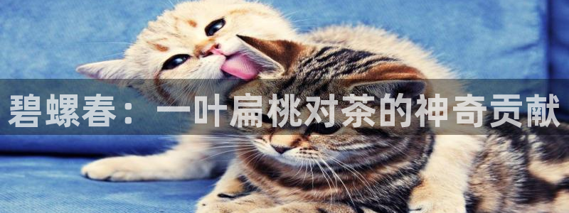 下载安信12