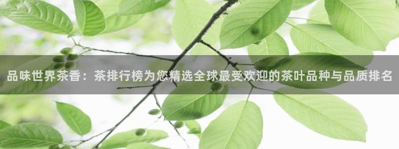 安信12正版下载