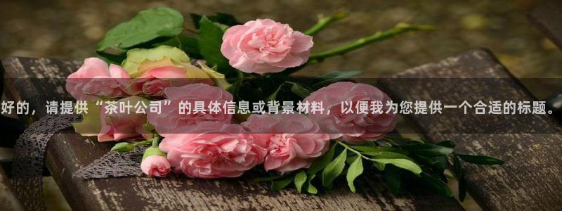安信12平台下载
