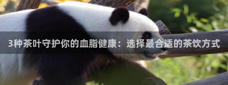 安信可12e12f
