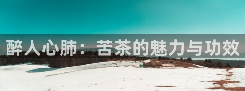 下载安信12