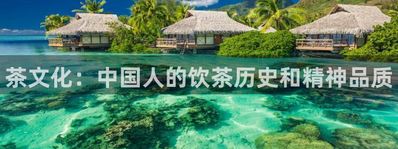 安信cw12系列