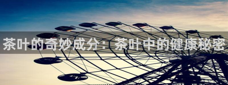 安信12平台