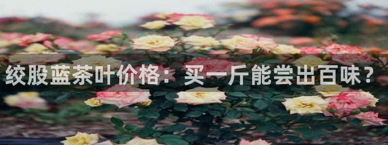 安信4特邀55 12