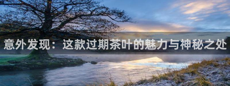 安信12彩票app下载