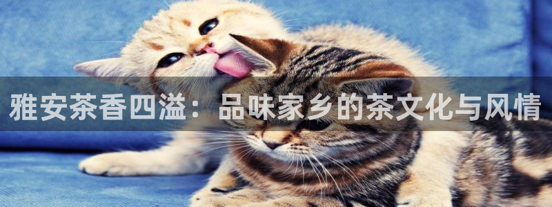 安信12正版下载
