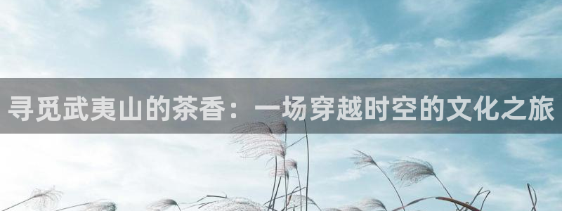 安信12平台下载