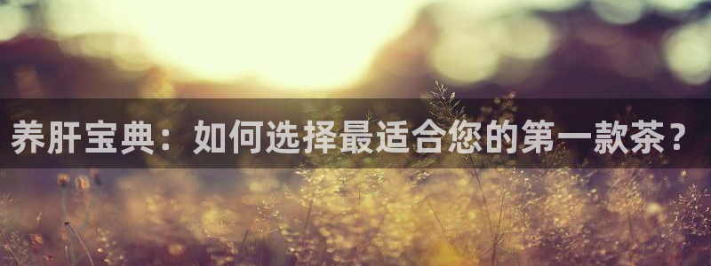 安信证券 12位