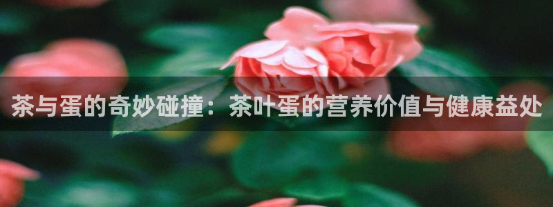 安信12彩票在线网址