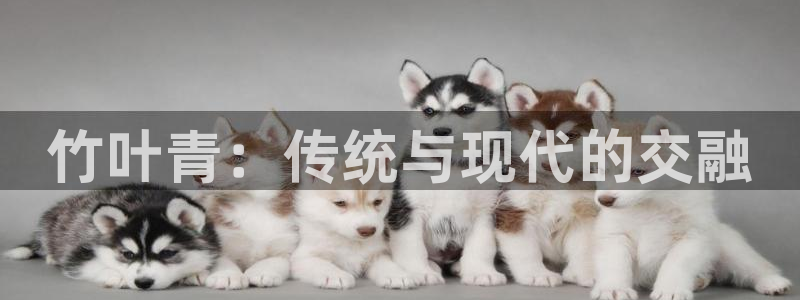 安信12娱乐开户