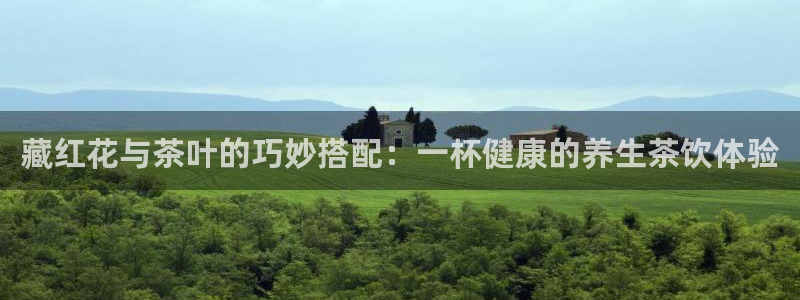 安信12官网qq