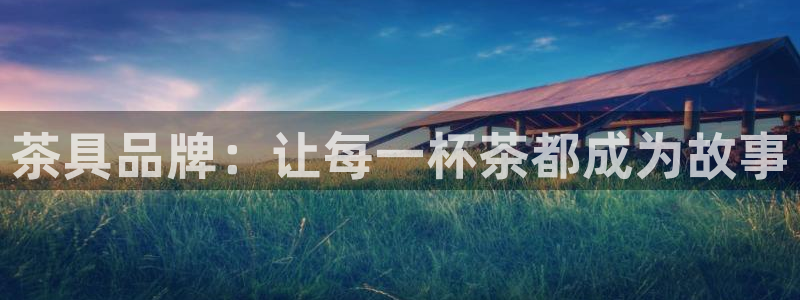 安信12是做什么