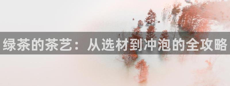 安信12是什么软件