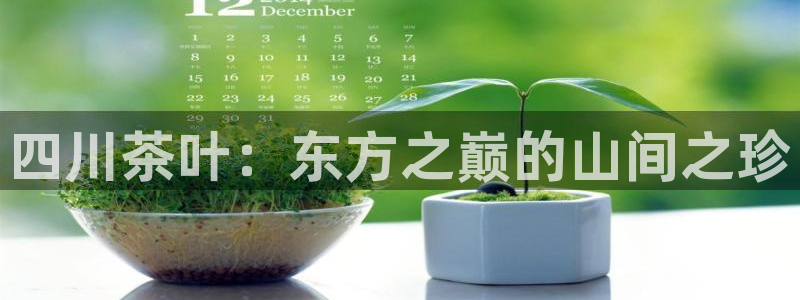 安信12彩票app下载