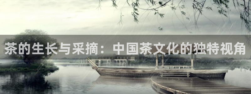 安信12怎么下载