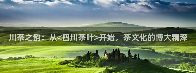 安信12官网