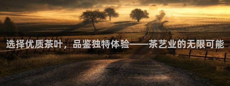 安信12位数资金号