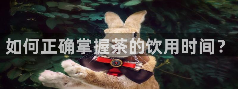 安信cwa12