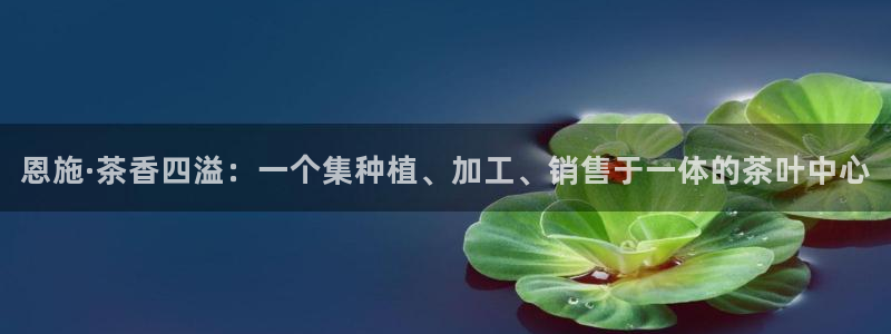 安信卓越12月