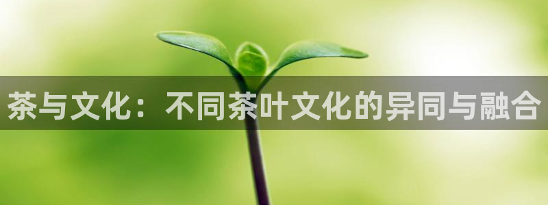 安信12下载