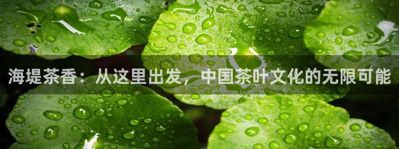 安信122853179Z空间