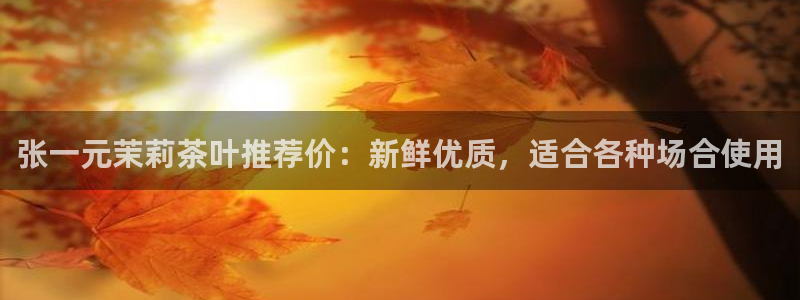 安信12负责人