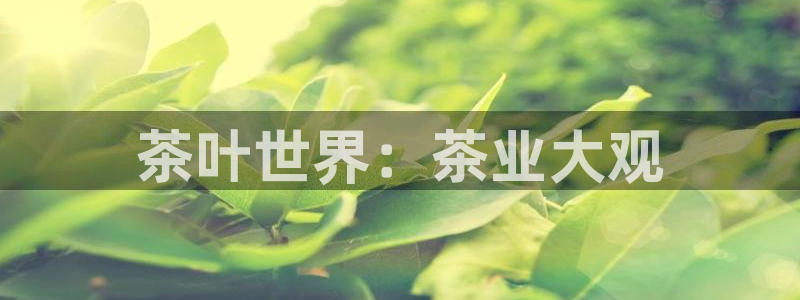 安信12娱乐招商