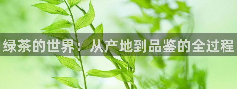 安信12是什么平台